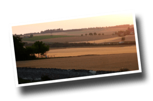 ChateauMotte_landscape06