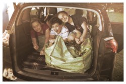 Compost, Déchetterie