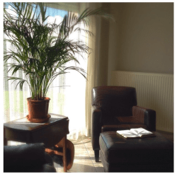 quiet spot, chair in the corner, morning devotions