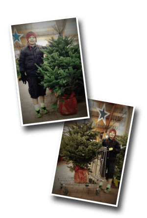 Christmas Tree, Sapin de Noël, Jardiland, Châtellerault, 2015