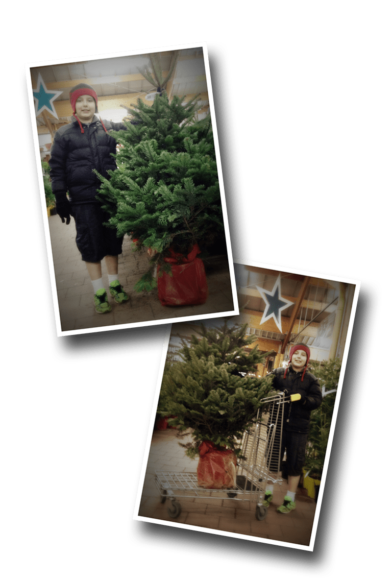 Christmas Tree, Sapin de Noël, Jardiland, Châtellerault, 2015