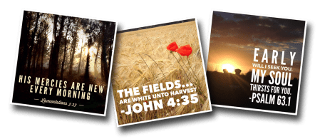 Quotes, quote, Bible, Photography, France, photo, scripture