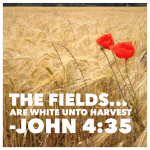 A Baptism in&nbsp;Châtellerault