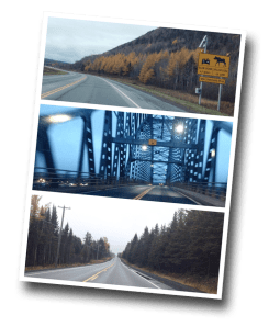 Centennial Bridge, Miramichi, New Brunswick, Provincial Highway, Moose