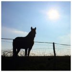 Lifting up the&nbsp;Little