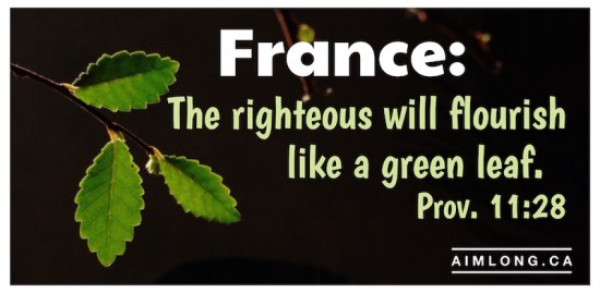 images of France, Pictures of France, Bible Verse, AIMLong.ca, AIMLong, bonsai, tree leaf,