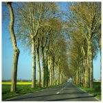 Have you mowed your lawn&nbsp;yet?