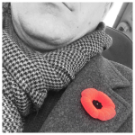poppy, remembrance day, flanders fields, in flanders fields where poppies blow