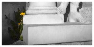 dandelion, statue, foot, fontainebleau, hard place, challenge, overcoming