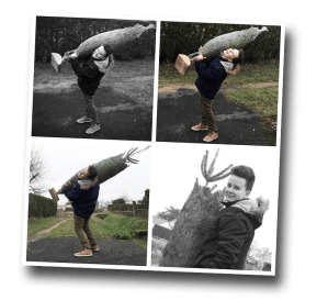 Christmas Tree, Sapin de Noël, France