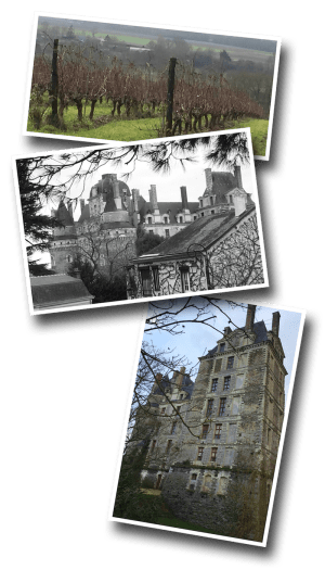 Brissac-Quincé, Brissac Loire Aubance, Maine-et-Loire, Departement 49, vignoble, château