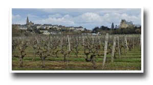 chateau de brissac, brissac, brissac loire aubance