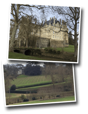 chateau de brissac, brissac, parc