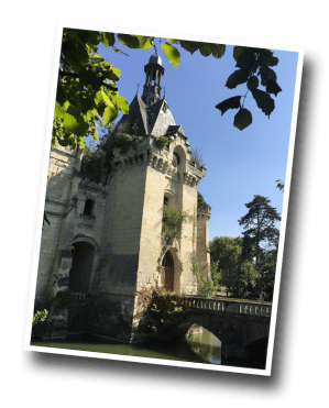 chateau de la mothe chandeniers, vienne86, adopte un chateau, dartagnans, internet castle