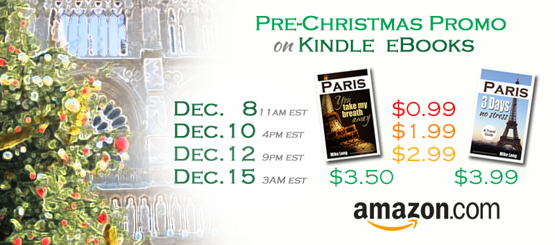 Paris Christmas Book Promo