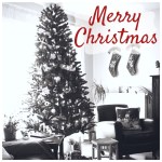 Merry Christmas 2018!