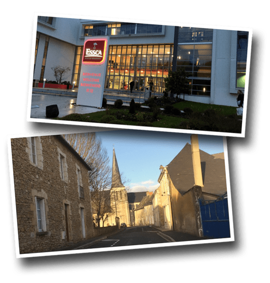 essca, angers, teaching