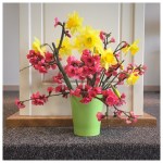 Can I ask you a&nbsp;question?