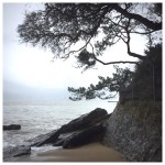 Ocean Therapy amid&nbsp;Corona-Chaos