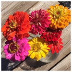 Where’s my Blogging&nbsp;MOJO?