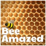 Amazement in 4&nbsp;Yards