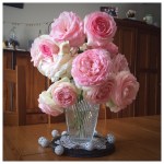 Top 7.5 out of&nbsp;3