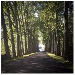 Miles Apart, Still at&nbsp;Home